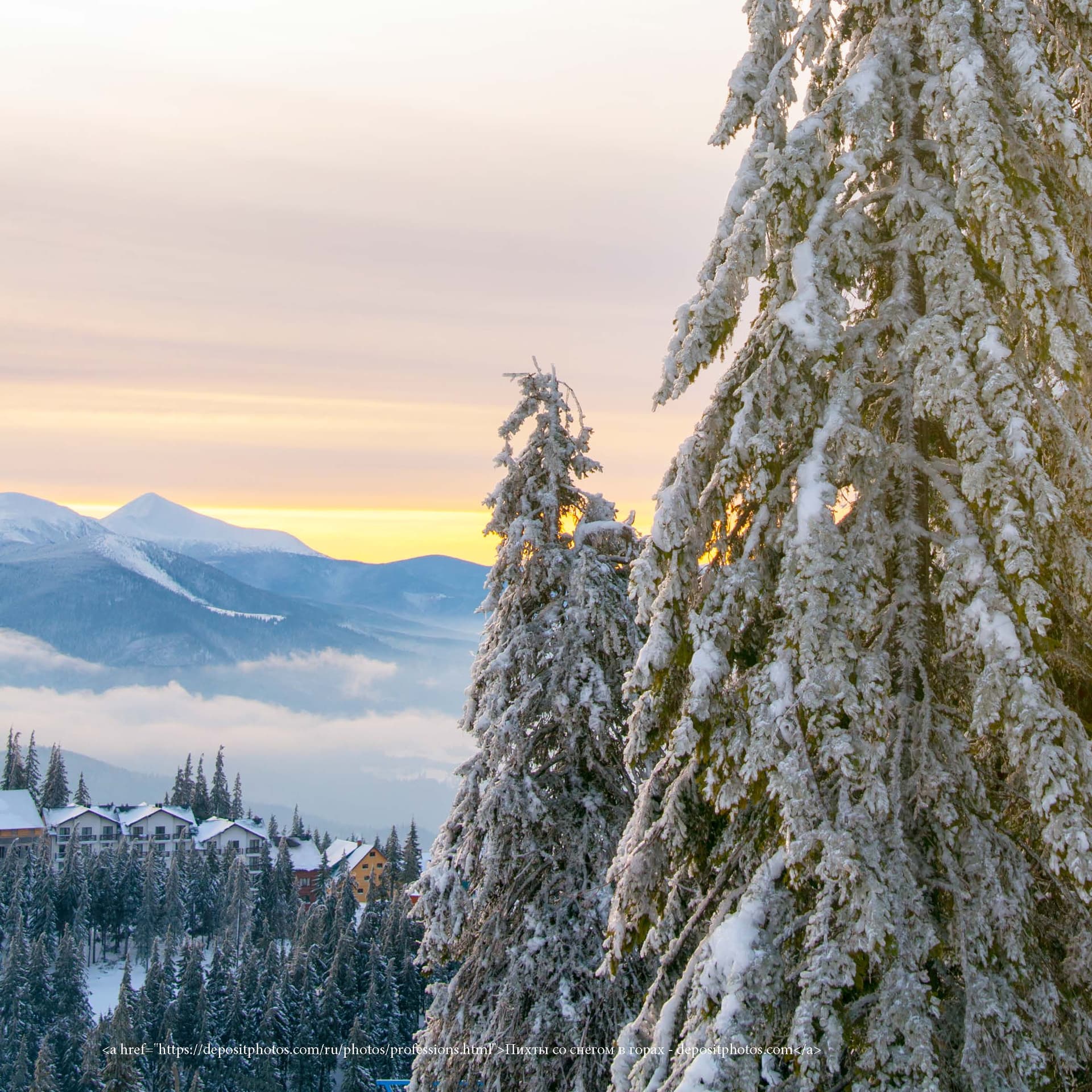 Wellnessurlaub im Schwarzwald mit Solemar Therme
