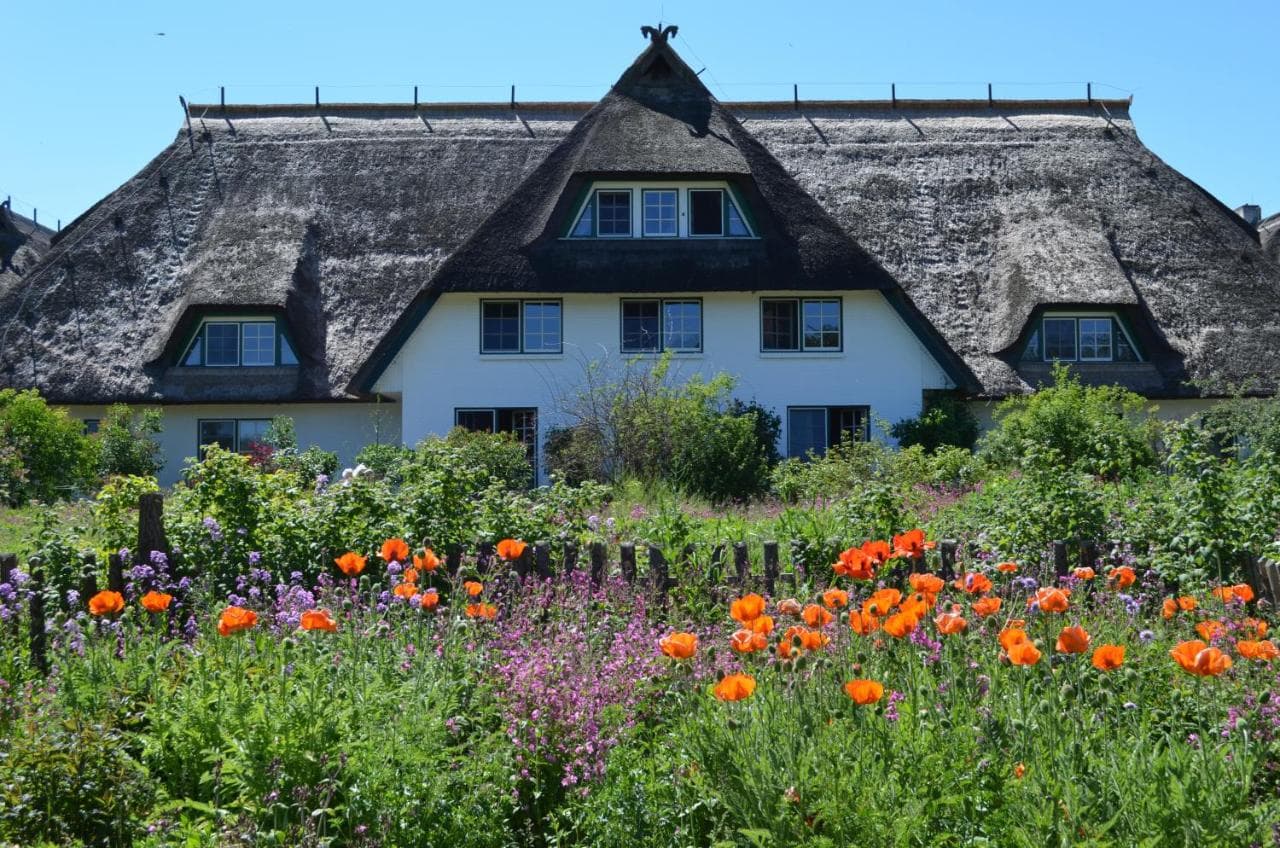 4 Tage Kurzurlaub, Wellness & Genuss auf dem Fischland Darß